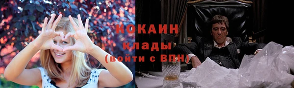 сатива Липки