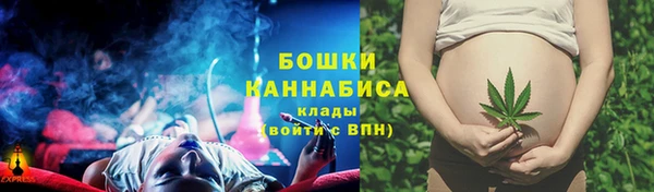 индика Лиски