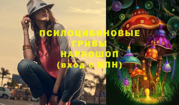 сатива Липки