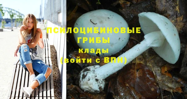 сатива Липки