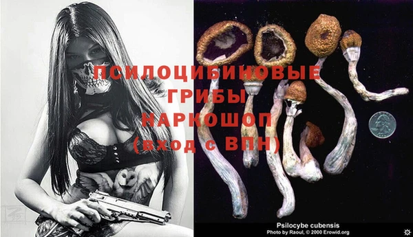 индика Лиски