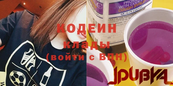 индика Лиски