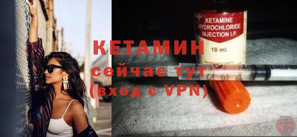 сатива Липки