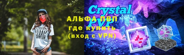 сатива Липки