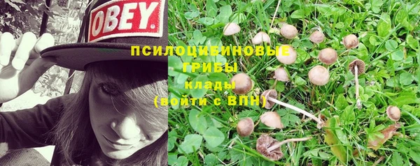 винт Лихославль